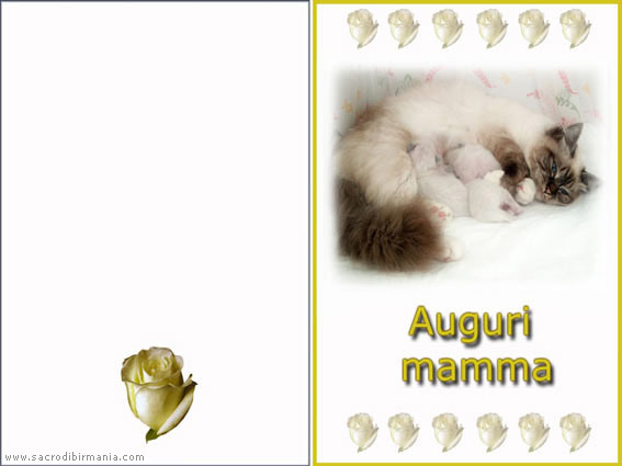 bigliettino d'auguri festa mamma