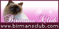 Birmans Club, Birman breeders of Italy
