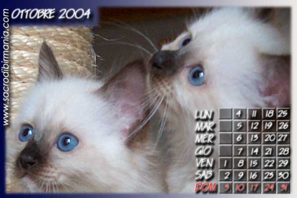 calendario con cuccioli di razza