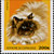 francobollo con gatto sacro di birmania