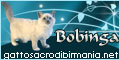 animali