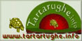 tartarughe